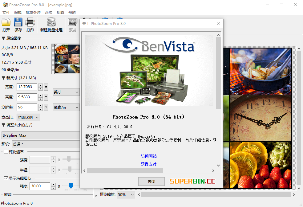 图片放大无损工具BenVista Photo Zoom Pro v8.0绿色版 漫画分享 第2张