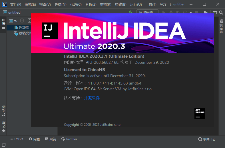 IntelliJ IDEA 2020.3.1 Ultimate 河蟹2099年旗舰版 漫画分享 第1张